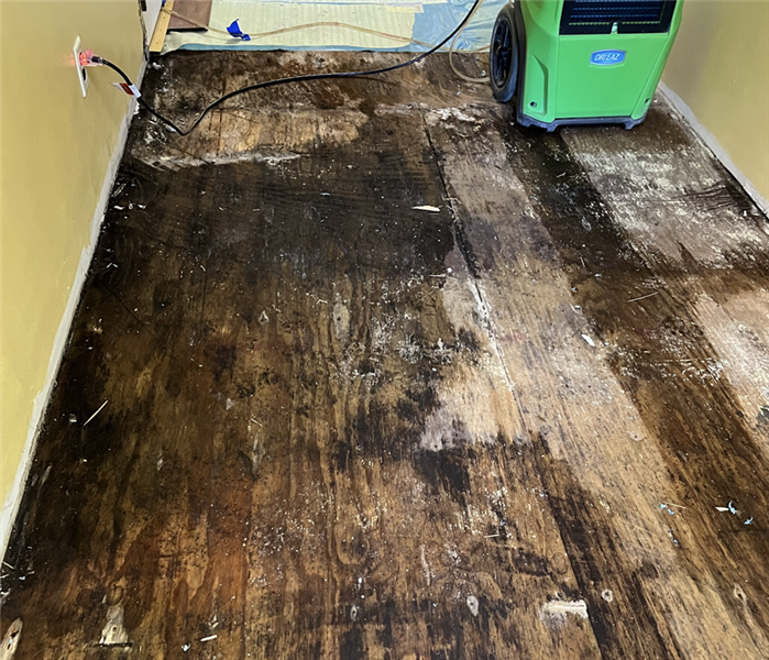 flood damaged floor