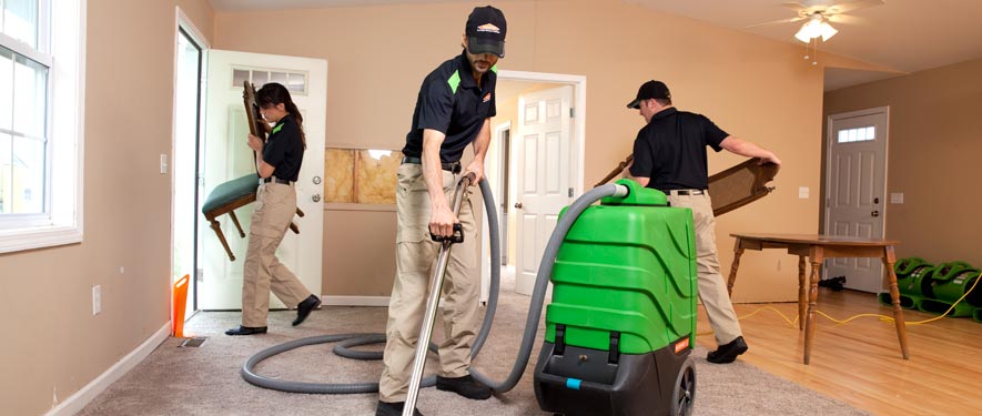 Ossining , NY cleaning services